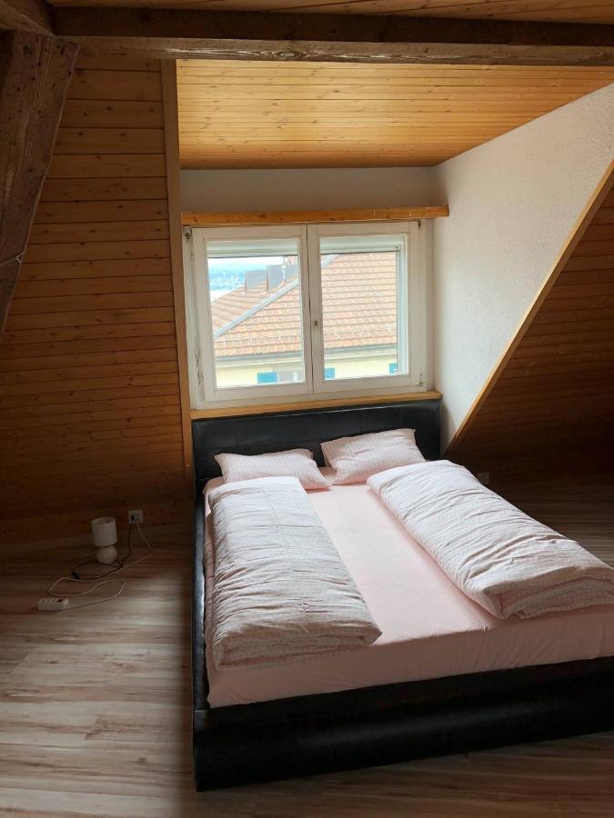 Wadenswil 3 Zimmer Wohnung Genau Beim Zurichsee Экстерьер фото